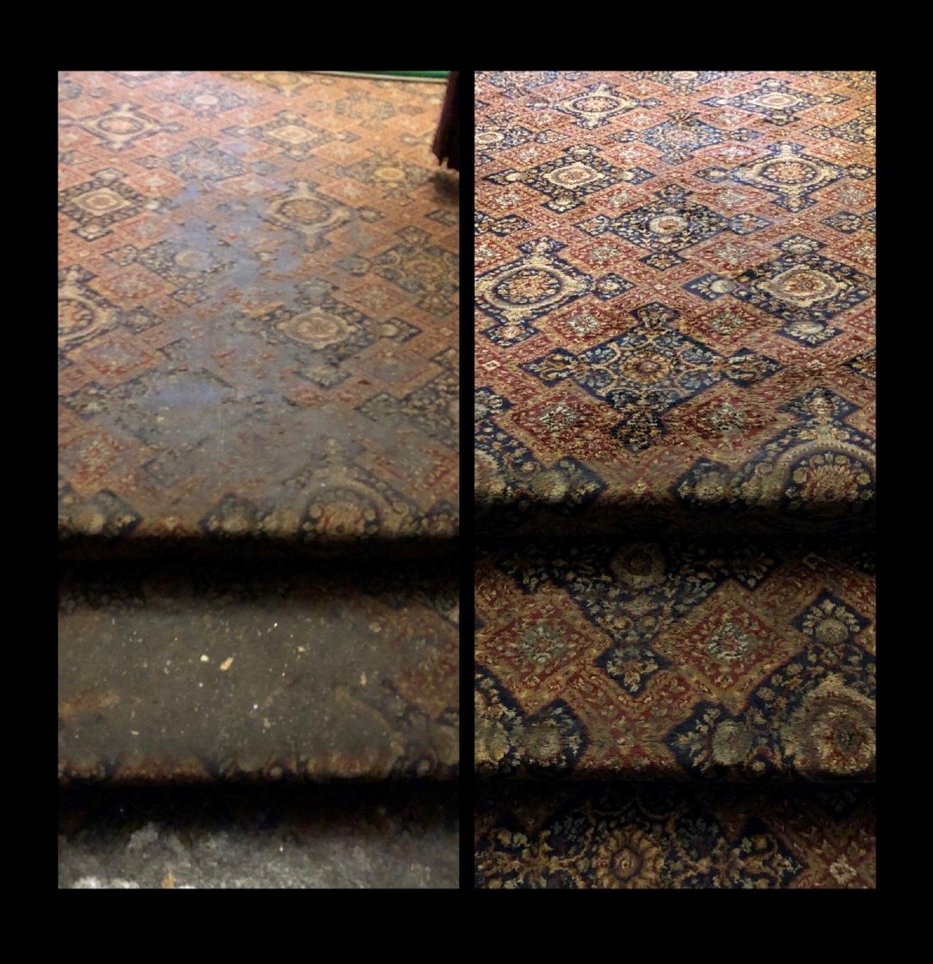 Area Rug Cleaning South Bend IN