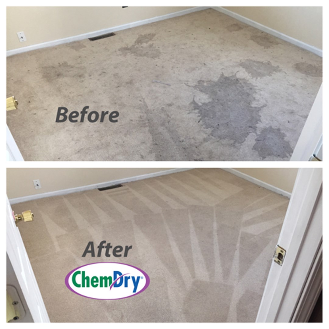 Carpet Cleaning South Bend IN