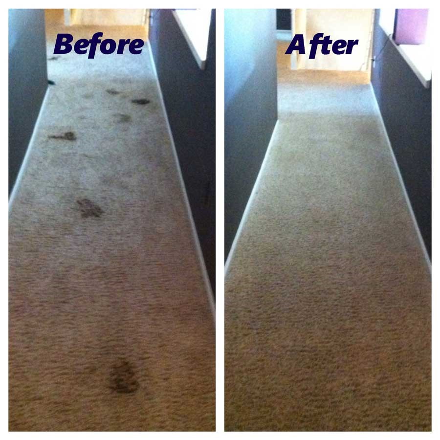 Carpet Cleaning South Bend