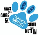 Paws for a Cause