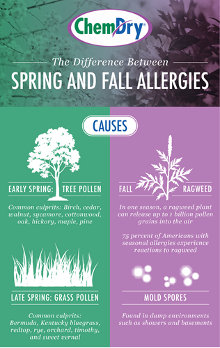 Fall Allergies versus Spring Allergies