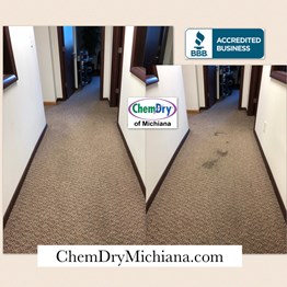 Chem-Dry Carpet Cleaning Mishawaka