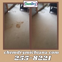 Carpet Cleaners South Bend