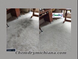 Carpet Cleaning Granger