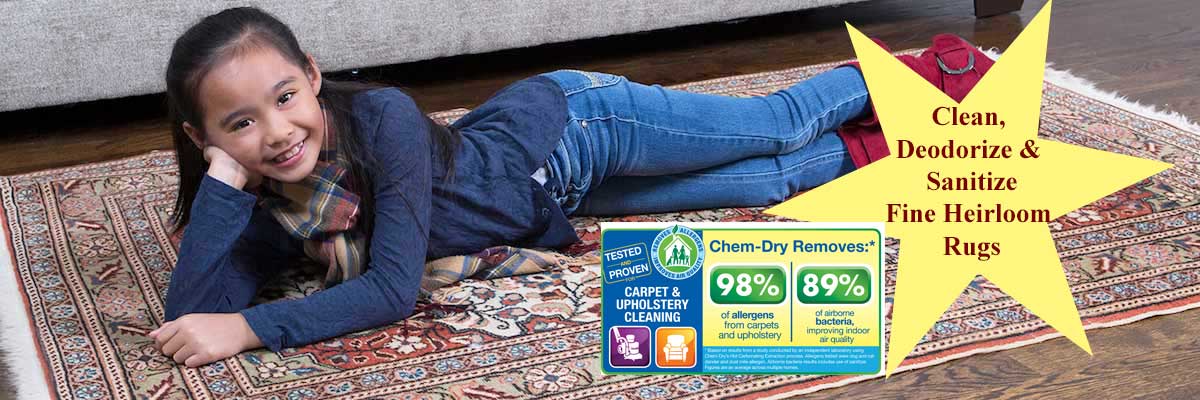 Oriental and Area Rug Cleaning South Bend & Elkhart, IN ...