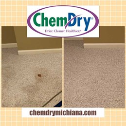 Carpet Cleaning Goshen