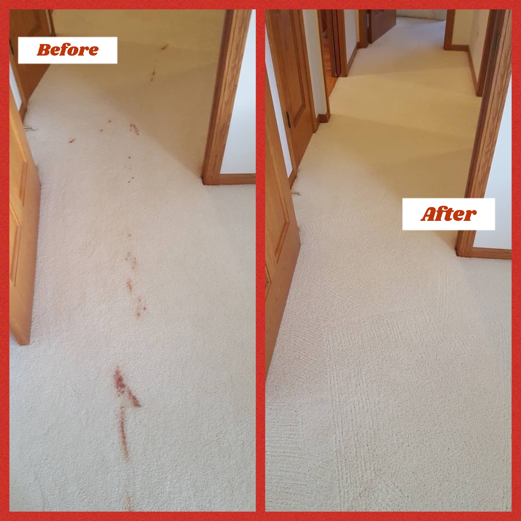 Specialty Stain Removal Service by Chem-Dry