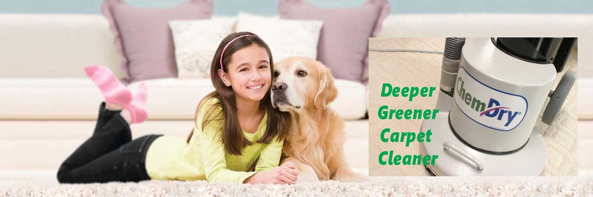 Chem-Dry  Carpet Cleaning Service in South Bend, IN