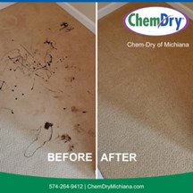 Carpet Cleaning South Bend IN