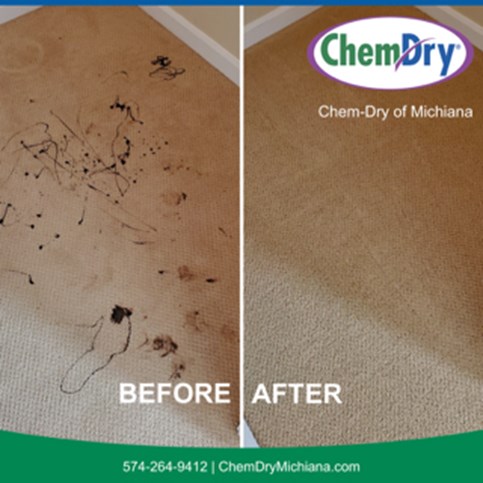 Carpet Cleaning South Bend