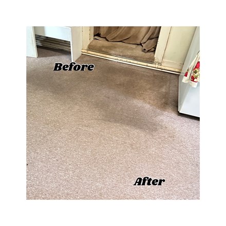 Carpet Cleaning Elkhart